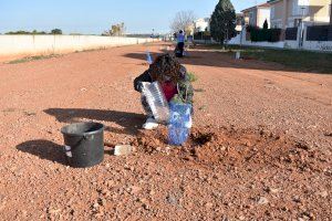 Nules celebra el Dia de l’Arbre amb la plantació d’arbrat en la zona de la Serraleta - (foto 2)