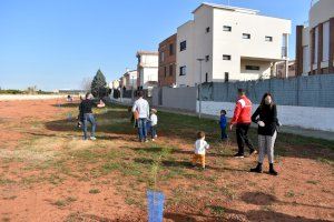 Nules celebra el Dia de l’Arbre amb la plantació d’arbrat en la zona de la Serraleta - (foto 4)