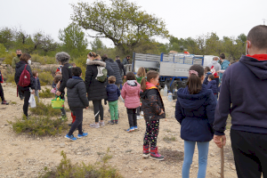 Llíria plantarà més de 800 exemplars forestals autòctons amb motiu del Dia de l'Arbre - (foto 4)
