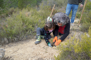 Llíria plantarà més de 800 exemplars forestals autòctons amb motiu del Dia de l'Arbre