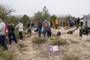 Llíria plantarà més de 800 exemplars forestals autòctons amb motiu del Dia de l'Arbre - (foto 3)