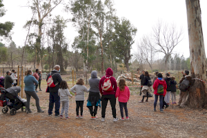 Llíria plantarà més de 800 exemplars forestals autòctons amb motiu del Dia de l'Arbre - (foto 2)