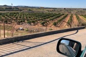 Un cotxe es precipita pel terraplé d'un pont a Silla - (foto 2)
