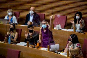 La política valenciana s'indigna després de la protesta dels negacionistes a l'Hospital Doctor Peset - (foto 2)