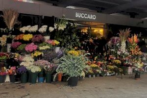 El comerç alacantí es bolca amb Sant Valentí: "Enamora't d'Alacant" - (foto 3) El comerç alacantí es bolca amb Sant Valentí: "Enamora't d'Alacant" - (foto 3)