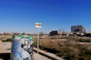 L’Ajuntament inicia un pla de control de les colònies felines