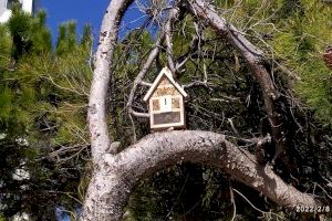 S’instal·len insectaris en els jardins municipals de Vinaròs