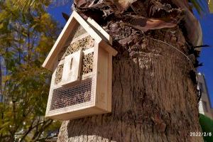 S’instal·len insectaris en els jardins municipals de Vinaròs - (foto 2)