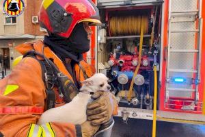 Ferides una dona i una xiqueta en l'incendi d'una vivenda a Catarroja