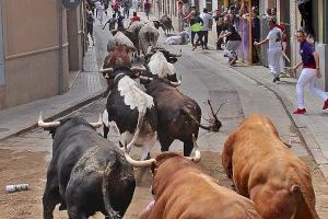 Almassora reconeix a entitats i professionals en les V Jornades del Bou
