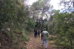 Immortalitzem la bellesa de l’Ombria de Benirrama - (foto 2)