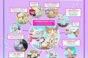 Benestar Animal llança una campanya de conscienciació per a estilitzar mascotes - (foto 3)