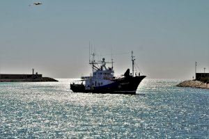Vinaròs se suma a la xarxa de ports de salvament marítim humanitari - (foto 3)