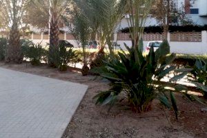 La Plaza 11 de Marzo gana en visibilidad tras los trabajos de jardinería realizados por la SAG La Plaza 11 de Marzo gana en visibilidad tras los trabajos de jardinería realizados por la SAG