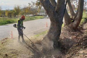 Se inician en Algemesí los programas T’avalem y Benestar i Natura II dirigidos a personas desocupadas