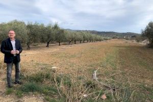 Alcalà-Alcossebre demana a la Generalitat Valenciana major celeritat per donar llum verda al Pla Especial de Sòl del bulevard entre els dos nuclis Alcalà-Alcossebre demana a la Generalitat Valenciana major celeritat per donar llum verda al Pla Especial de Sòl del bulevard entre els dos nuclis