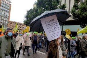 El Gobierno responde a la gran manifestación de los agricultores en Valencia El Gobierno responde a la gran manifestación de los agricultores en Valencia