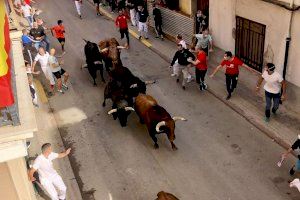 Almassora premia a ‘El Suret’, APTA, Federació de Bous, Gustavo Traver i Emergències en les V Jornades del Bou Almassora premia a ‘El Suret’, APTA, Federació de Bous, Gustavo Traver i Emergències en les V Jornades del Bou