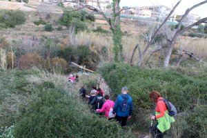 L'Alcora convida a conéixer el seu ric patrimoni cultural a través de visites guiades L'Alcora convida a conéixer el seu ric patrimoni cultural a través de visites guiades