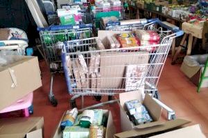 Pesca solidària a Borriana: recullen 3 tones d'aliments per a Càritas - (foto 4)