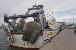 Els pescadors professionals valencians continuen compromesos amb la lluita contra el fem marí