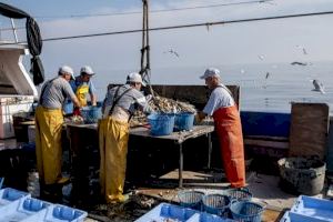 Els pescadors professionals valencians continuen compromesos amb la lluita contra el fem marí - (foto 3)