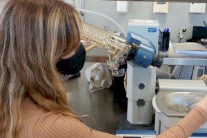 GASTERRA UA-Dénia lanza una convocatoria de ayudas a proyectos de investigación por valor de 30.000 euros