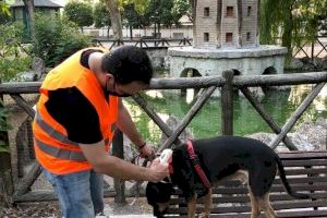 La campaña de asesoramiento hacia los animales de compañía consiguen el registro de 109 perros en el censo municipal