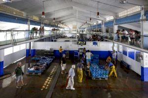 La pesca valenciana, en vaga pel preu del combustible