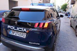 Detenidos dos jóvenes en Alzira por estrellar un coche robado contra unos contenedores Detenidos dos jóvenes en Alzira por estrellar un coche robado contra unos contenedores