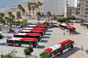 Sueña Torrevieja: "El equipo de gobierno del PP vuelve a mentir sobre la subvención al transporte urbano" Sueña Torrevieja: "El equipo de gobierno del PP vuelve a mentir sobre la subvención al transporte urbano"