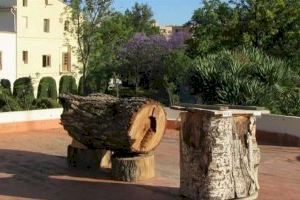 Apicultura urbana: València busca sensibilitzar a la ciutadania “de la importància de les abelles en l'entorn urbà”