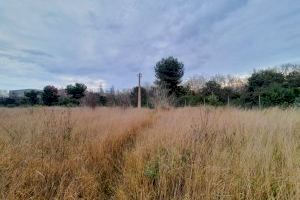 Apicultura urbana: València busca sensibilitzar a la ciutadania “de la importància de les abelles en l'entorn urbà” - (foto 2)