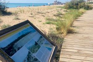 Peñíscola revalida su Sendero Azul para la pasarela medioambiental en su Playa Norte