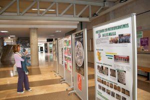 La Universitat clausura Micromón-Tiny Earth-Small World Initiative, un proyecto de divulgación biomédica para alumnado de secundaria