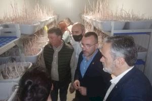 La Diputación de Castellón respalda a las cooperativas cítricas en su lucha contra el cotonet elevando a 100.000 euros su línea de ayudas La Diputación de Castellón respalda a las cooperativas cítricas en su lucha contra el cotonet elevando a 100.000 euros su línea de ayudas