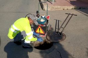 Callosa intensifica los tratamientos contra las plagas Callosa intensifica los tratamientos contra las plagas