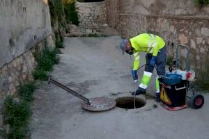 Callosa intensifica los tratamientos contra las plagas - (foto 2) Callosa intensifica los tratamientos contra las plagas - (foto 2)