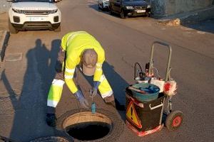 Callosa intensifica los tratamientos contra las plagas - (foto 4) Callosa intensifica los tratamientos contra las plagas - (foto 4)