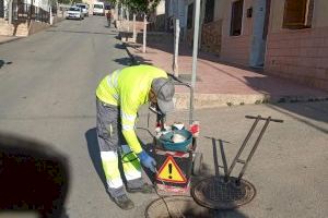 Callosa intensifica los tratamientos contra las plagas - (foto 5) Callosa intensifica los tratamientos contra las plagas - (foto 5)