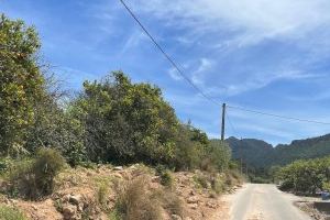 Ciudadanos reclama la adecuación de todos los caminos rurales de Alzira