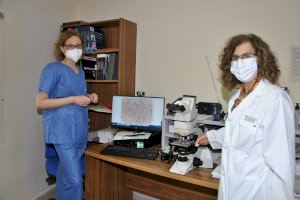 Castelló, Chicago y Taiwan investigan cómo acabar con la aterosclerosis