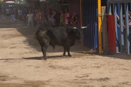 Secuencia del toro protagonista de los momentos más tensos del encierro de Vila-real