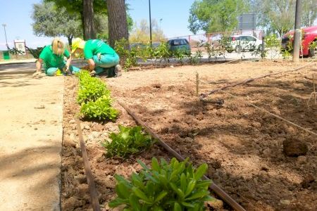 Alaquàs planta más de 600 especies en una zona ajardinada de la calle Rafael Alberti