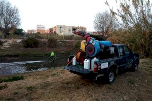 Quart de Poblet intensifica y amplia el área de tratamiento para el control de pagas
