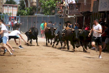 Vila-real disfruta de una mañana taurina en las fiestas de Sant Pasqual