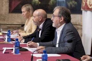 La Diputació de Castelló injecta 205.000 euros addicionals al Pla Provincial contra els Mosquits per a cobrir nous tractaments aeris - (foto 4)