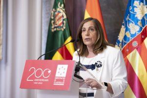 La Diputació de Castelló injecta 205.000 euros addicionals al Pla Provincial contra els Mosquits per a cobrir nous tractaments aeris - (foto 6)