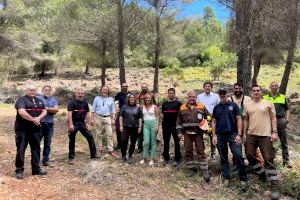 La presidenta del Consorcio visita los trabajos silvícolas de las brigadas del Consorcio en Barx y Gandia La presidenta del Consorcio visita los trabajos silvícolas de las brigadas del Consorcio en Barx y Gandia