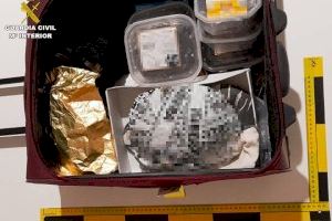 Rescatadas 46 tortugas y cangrejos vivos de un pasaje de mano en el aeropuerto de Alicante - (foto 2)